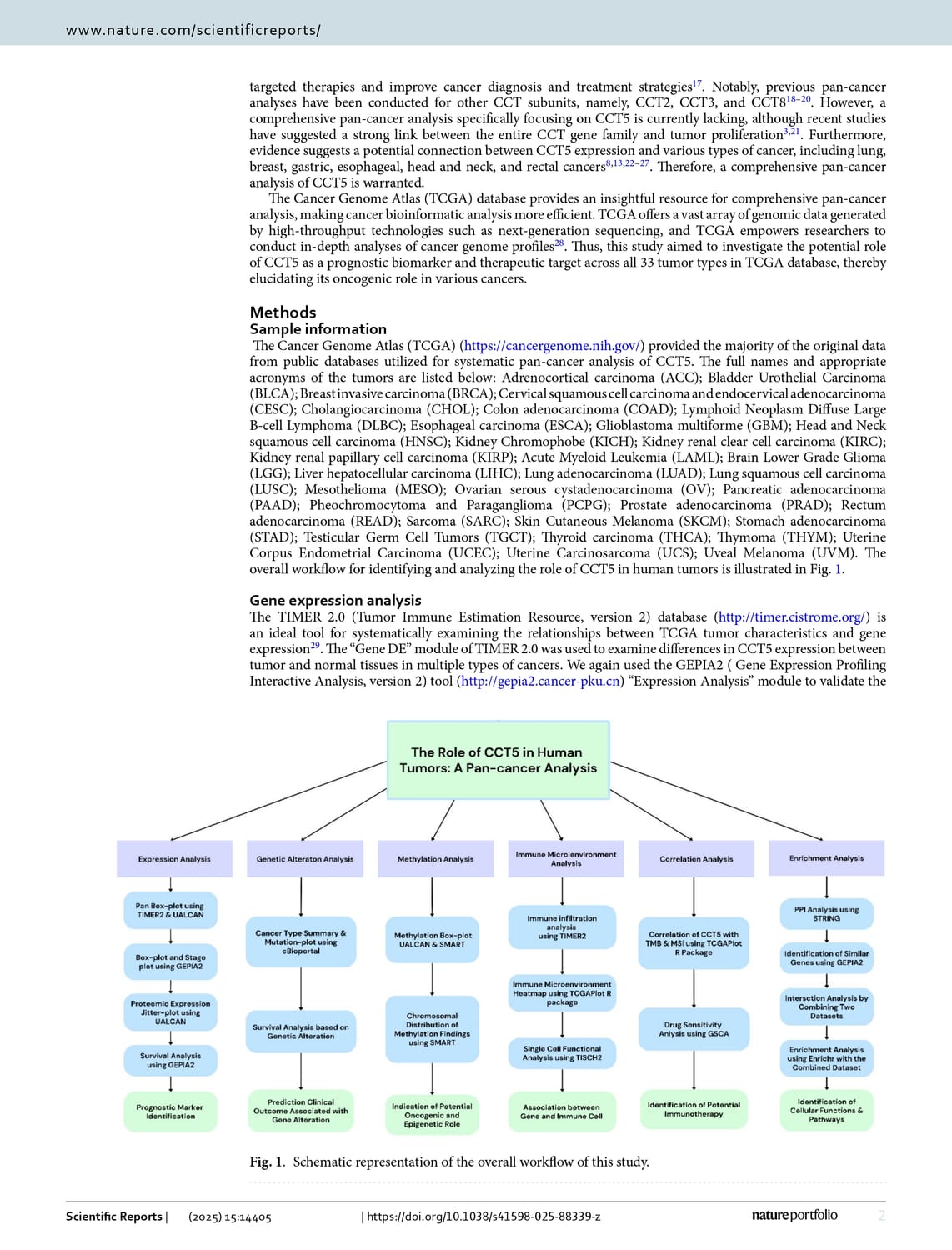 Pan-cancer analysis reveals immunological and prognostic significance of CCT5 in human tumors pg 2